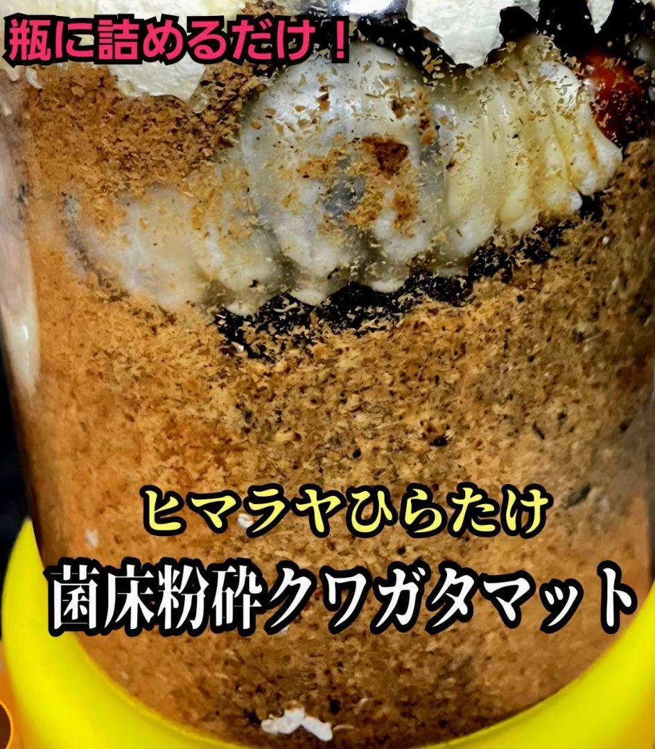 クワガタの幼虫専用！　ヒマラヤひらたけ菌床粉砕マット【30L】ボトルに詰めるだけ