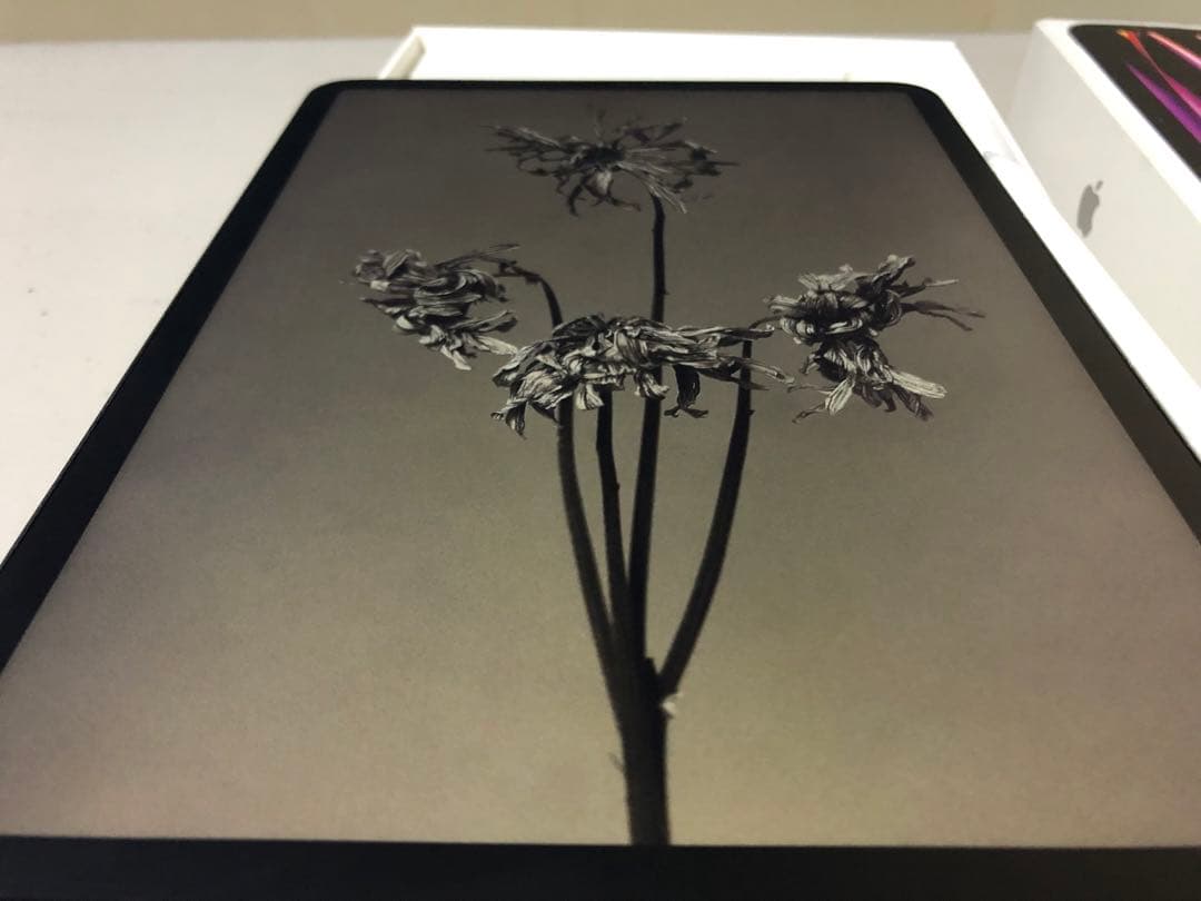 iPad Pro 11 M2 第4世代　クリップスタジオ　液タブ　ペンタブ