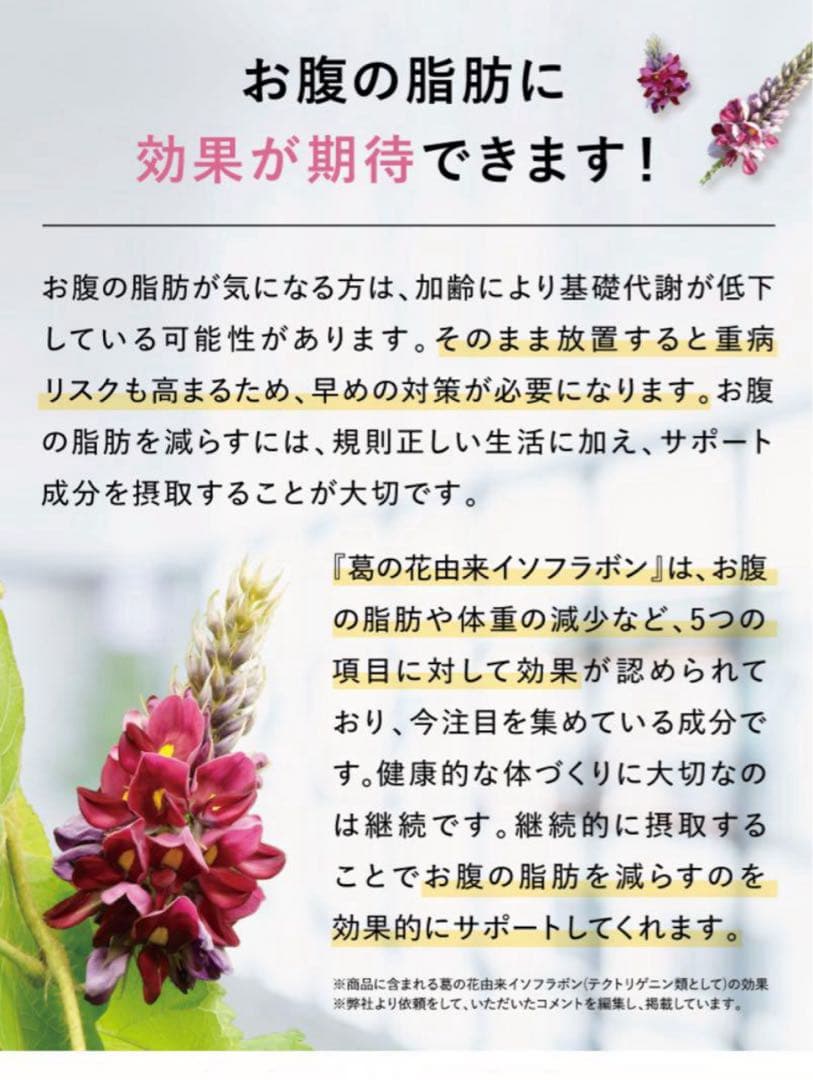 【最終価格:新品未開封】りそうのコーヒー 抹茶ラテ味 2箱(30包×2)
