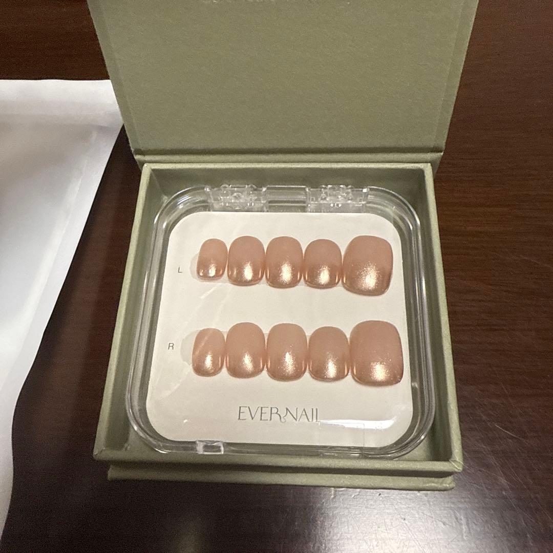 EVERNAIL 未使用　ネイルチップと　未開封PREP KIT