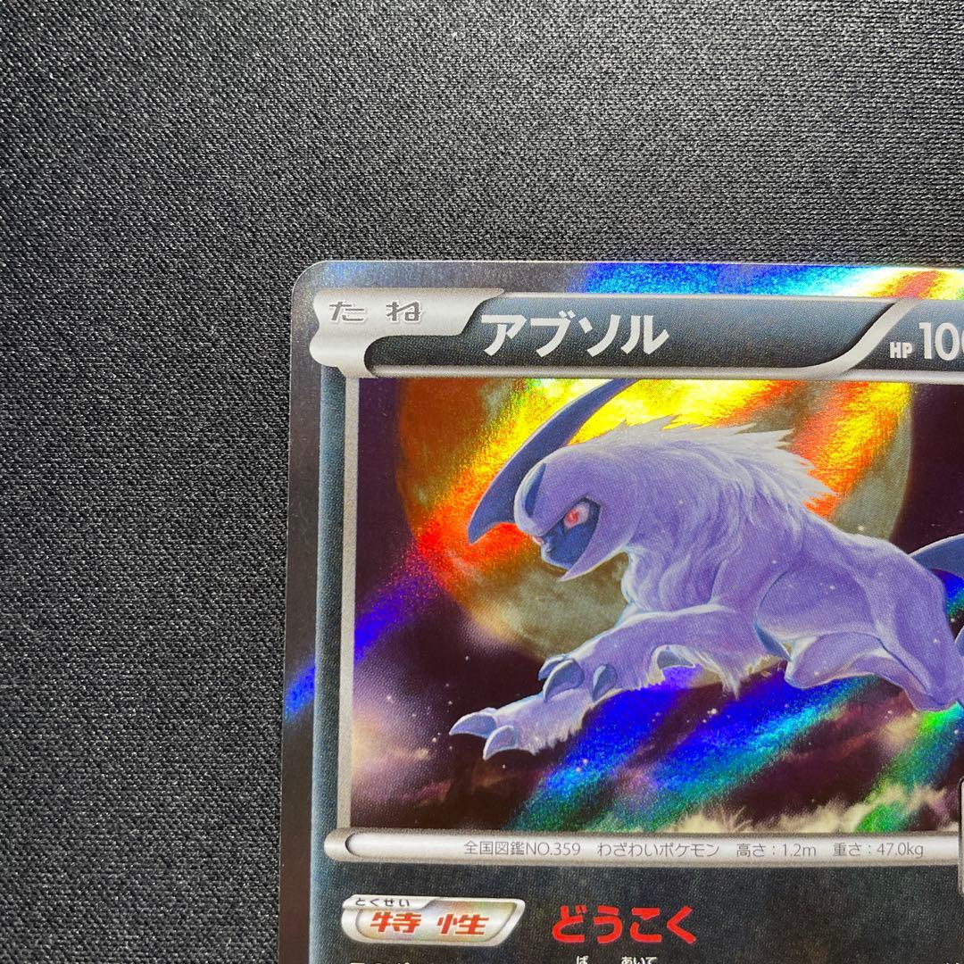 ポケカ アブソル ジムプロモ XY-P どうこく