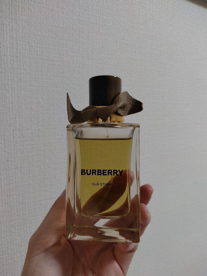 香水(ユニセックス) BURBERRY OUD STORM 100ml