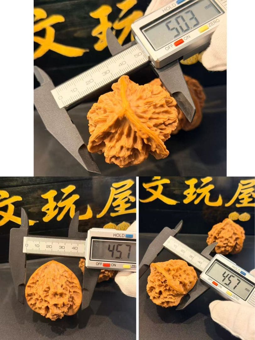 遊び胡桃 超希少 厳選極品 純天然 ３ムキ超大玉「盤龍帝王帽」