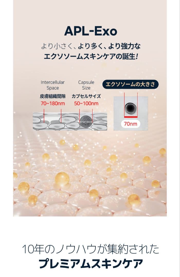 【正規品】ルビーセル ダーマコードセラム 2箱 36本 キャップ4個入