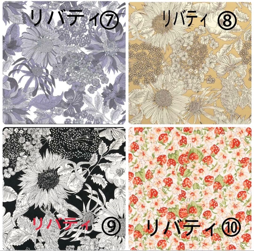ringoページB25サイズバッグインバッグ