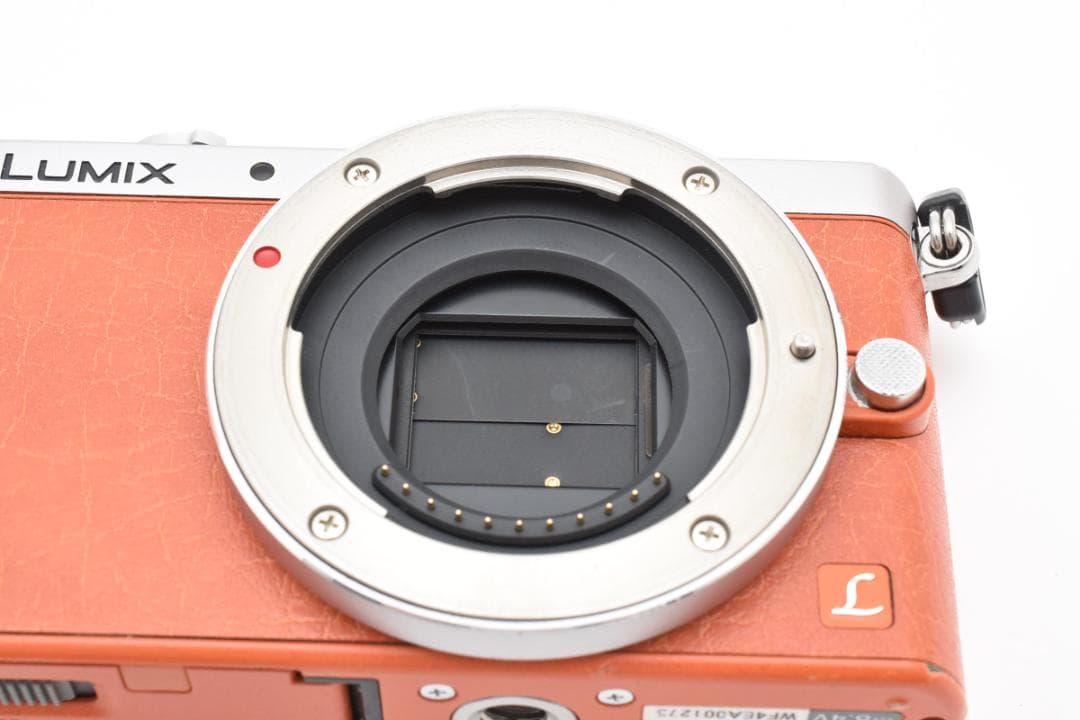■ショット数9827回■パナソニック LUMIX DMC-GM1S