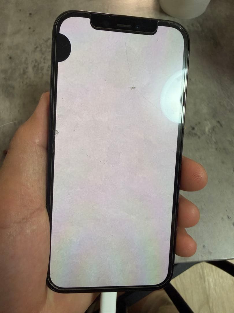 iPhone12Pro 本体 保護シール付き