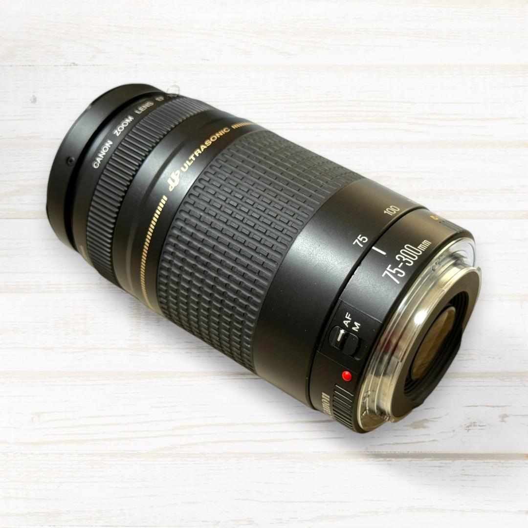 Canon ズームレンズ EF 75-300mm II USM
