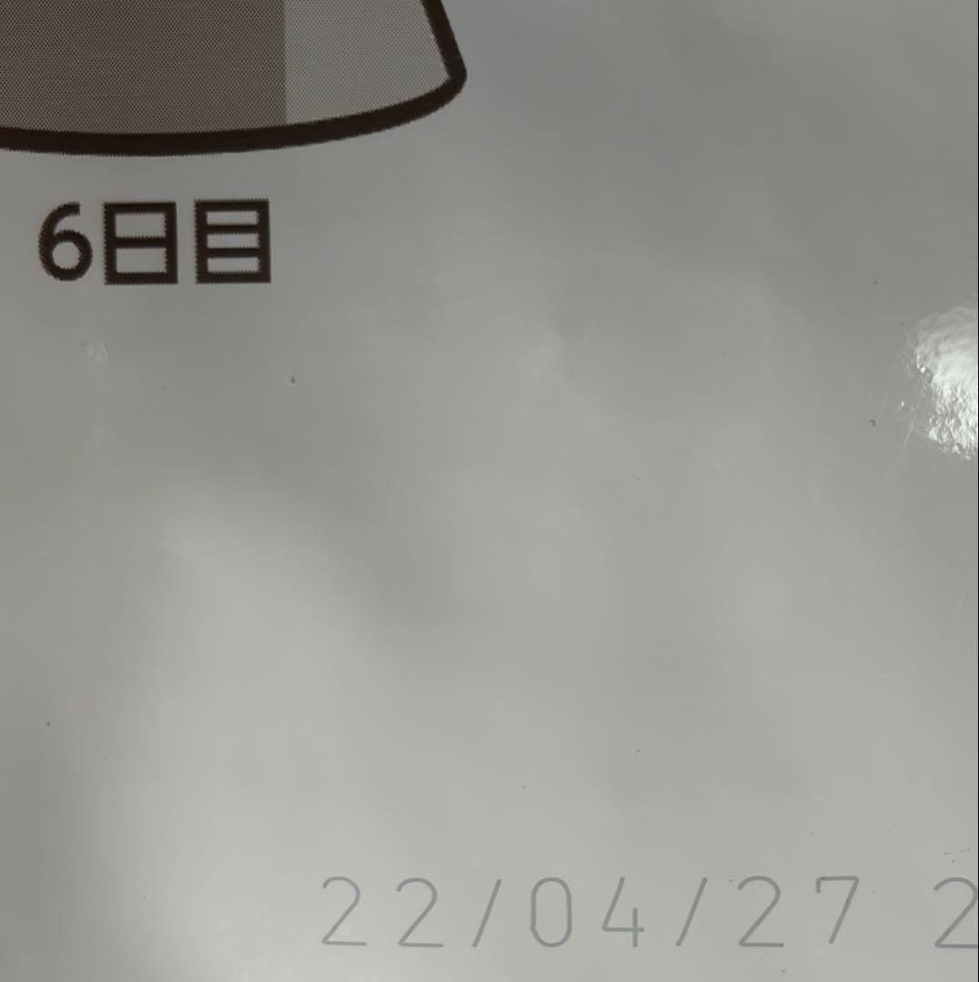 その他 SAYAKA