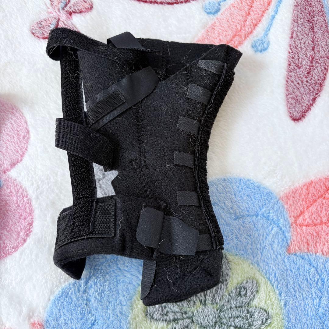 ACL BRACE 犬　補装具