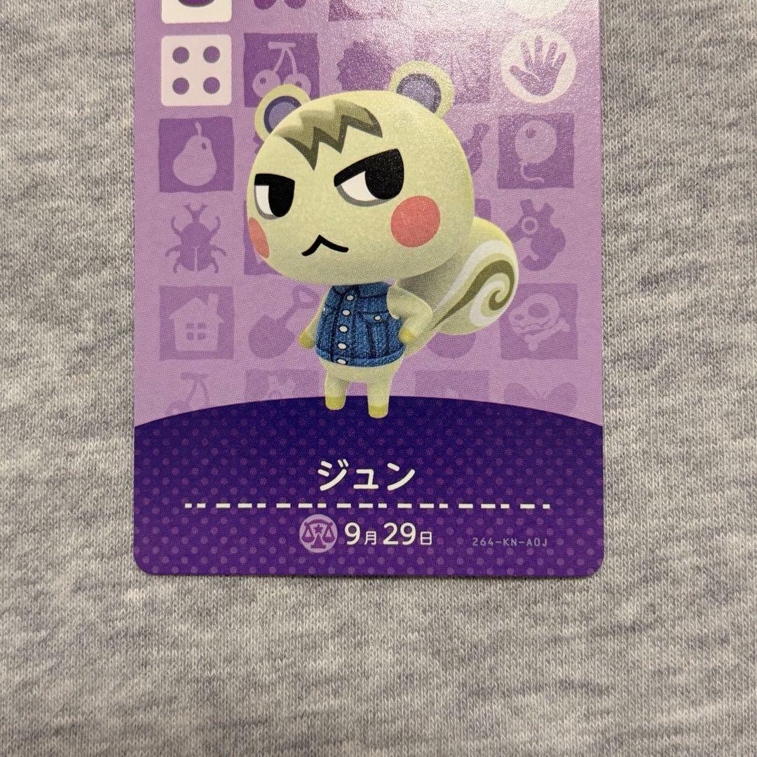 本日価格あつまれ どうぶつの森 amiiboカード ジュン ミッチェル2枚セット