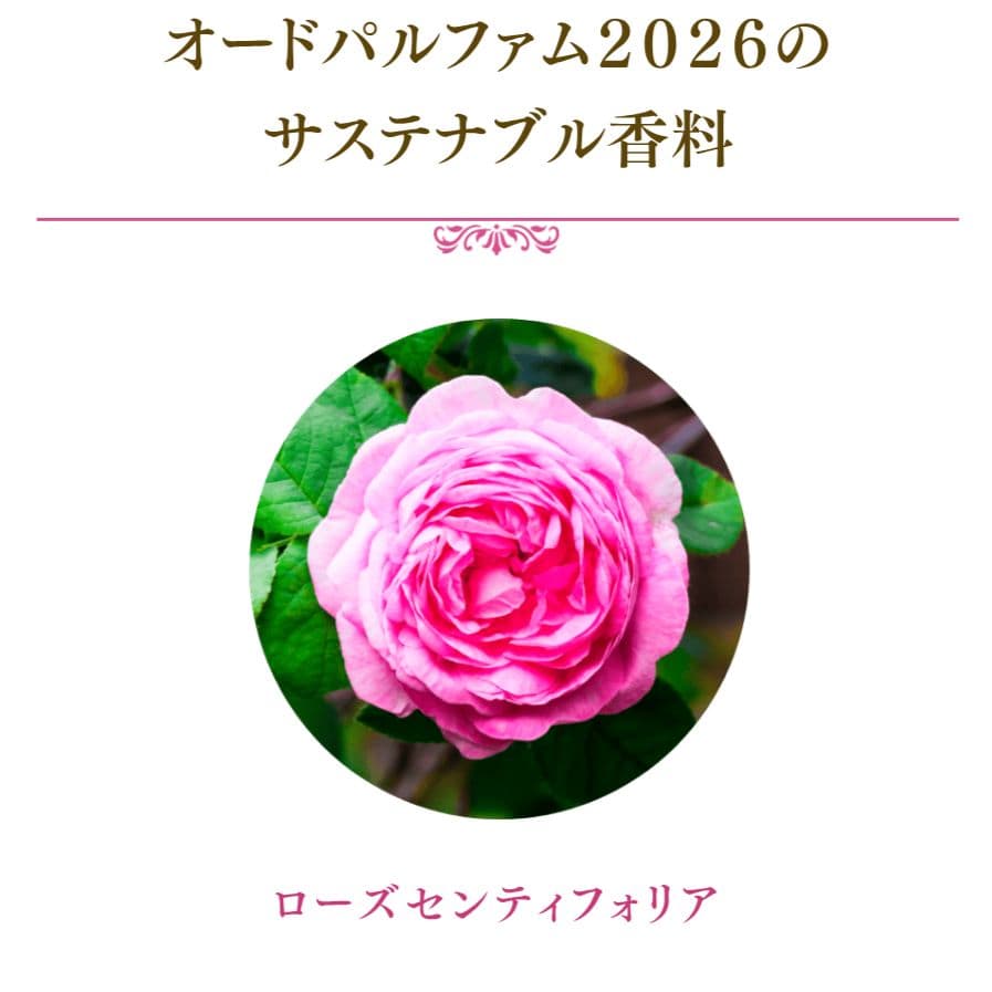 カネボウ　ミラノコレクション　パルファム2026