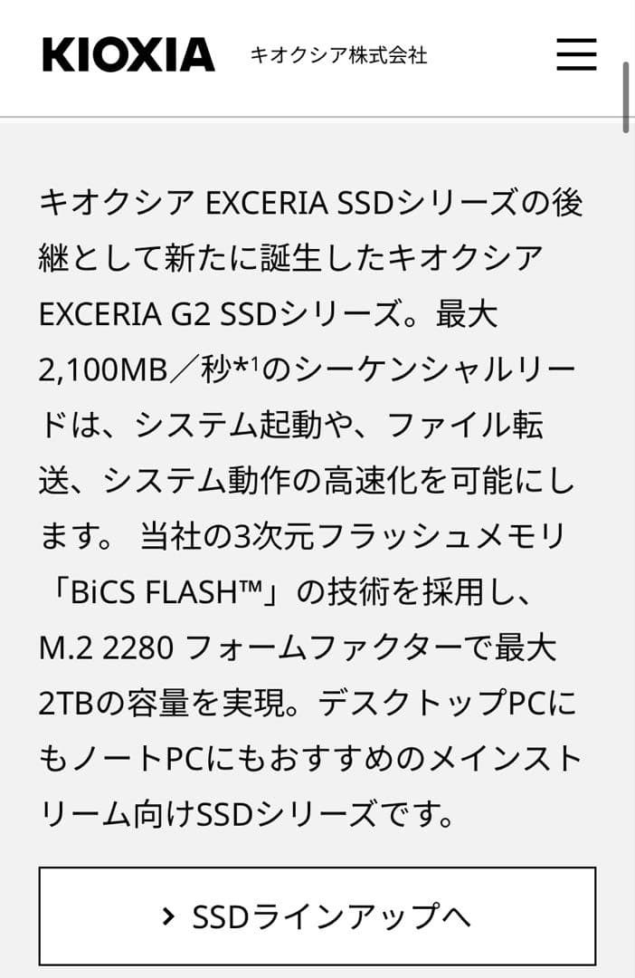 KIOXIA EXCERIA G2 SSD 2TB 美品 M.2 2280