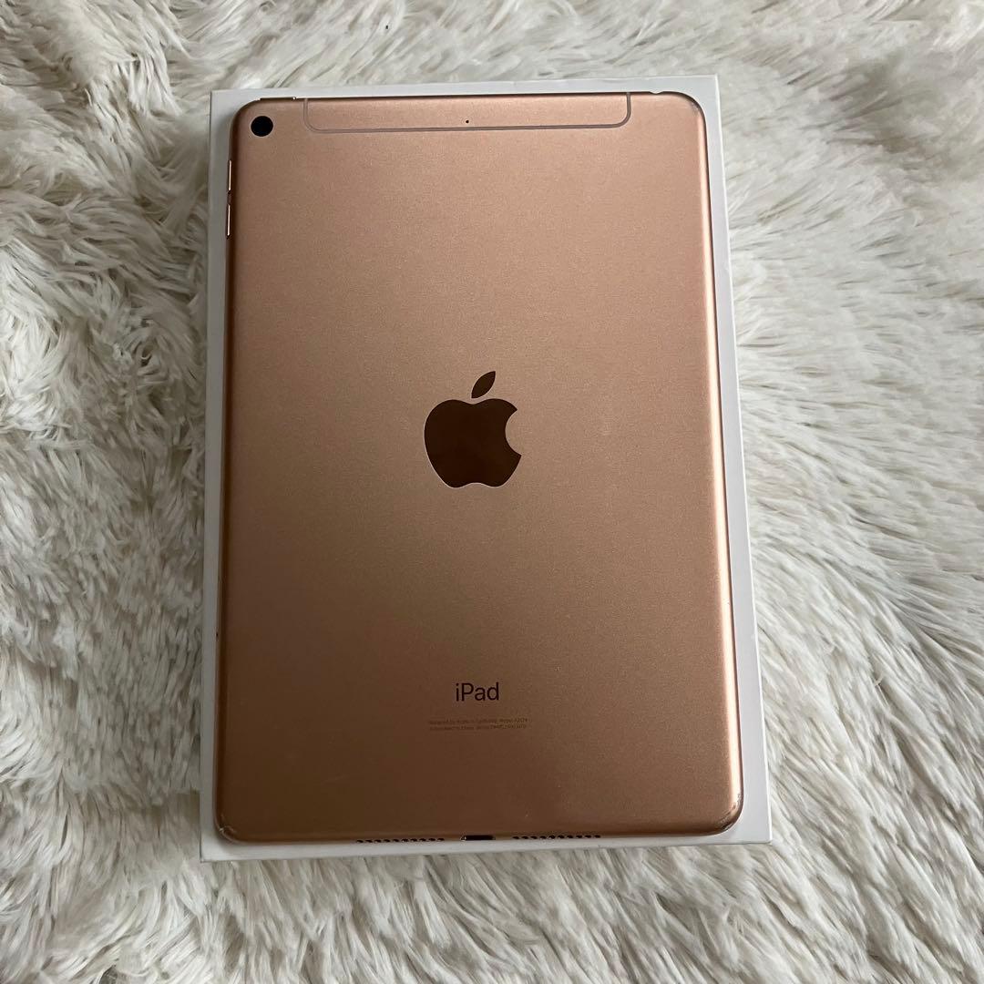 【1台限定】iPad mini5 64GB SIMフリー 【すぐ発送】【付属品】