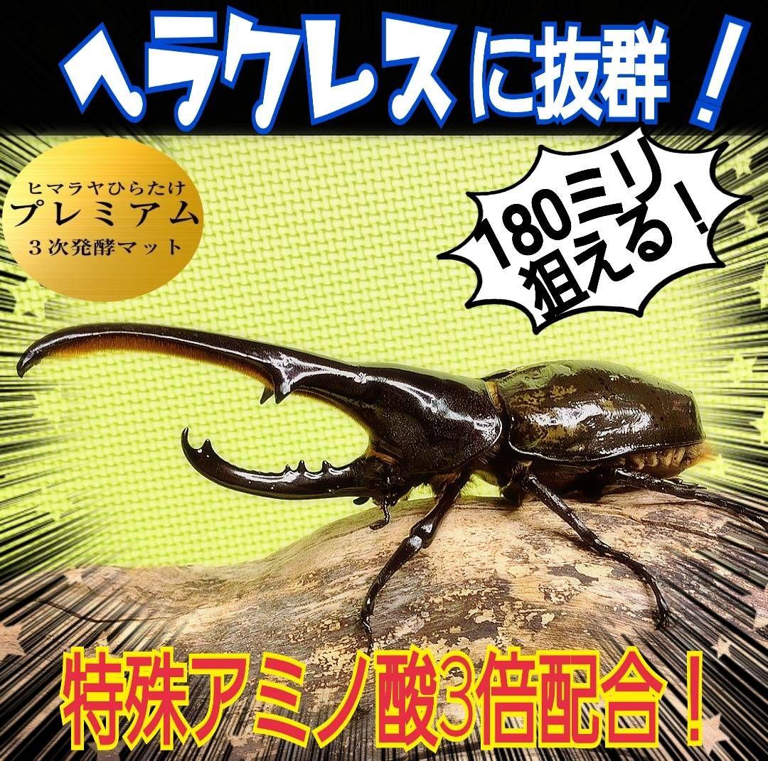 極上！プレミアム3次発酵カブトムシマット【6袋】特殊アミノ酸強化！ギネス級連発！