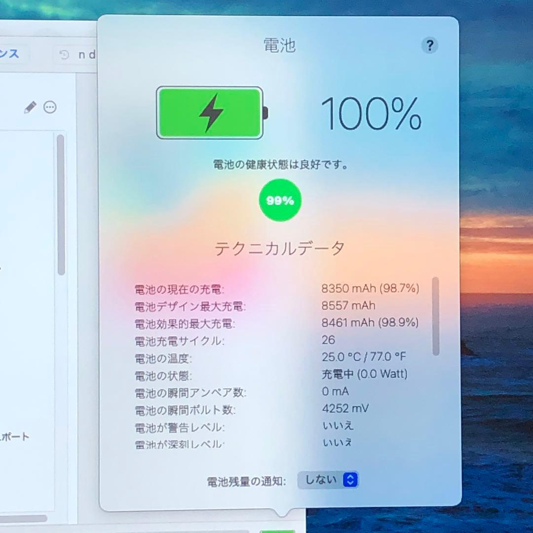 美品 iPad 第8世代 32GB wifiモデル　管理番号：371