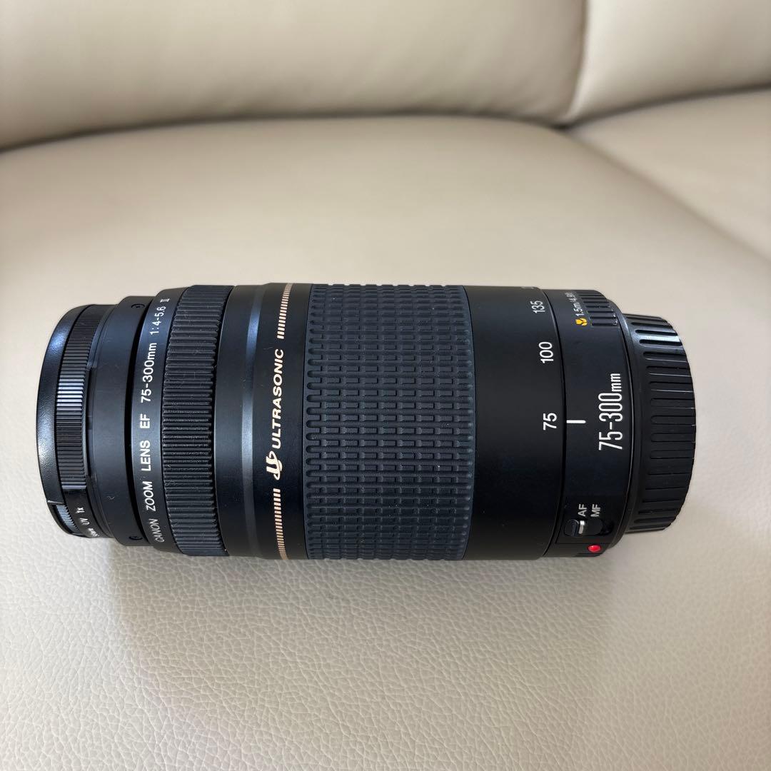 Canon EF 75-300mm & 28-80mm レンズセット