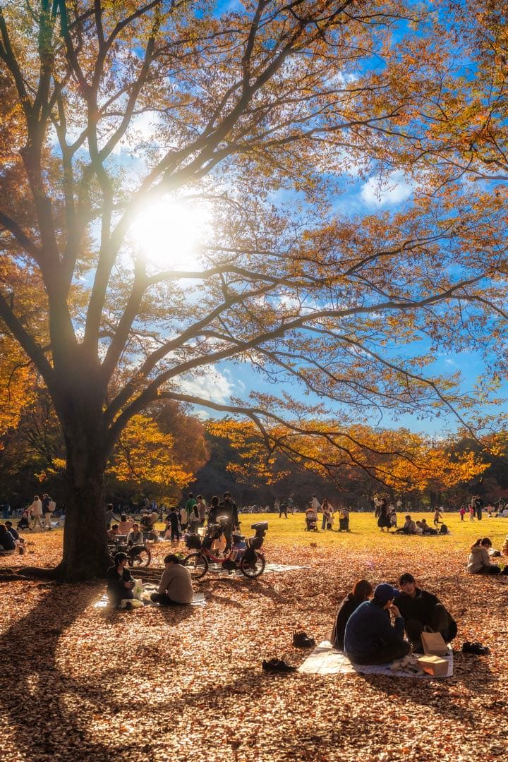 I*p様 SONY α7CⅡ a7CⅡ ソニー ミラーレス一眼カメラ ボディ