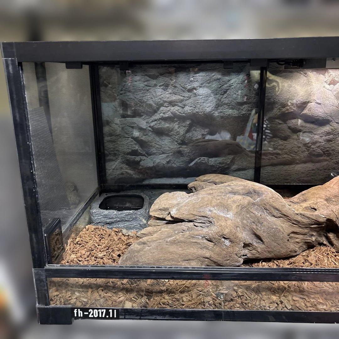 大型爬虫類飼育ケージ ガラス製　フルセット ※手渡し限定
