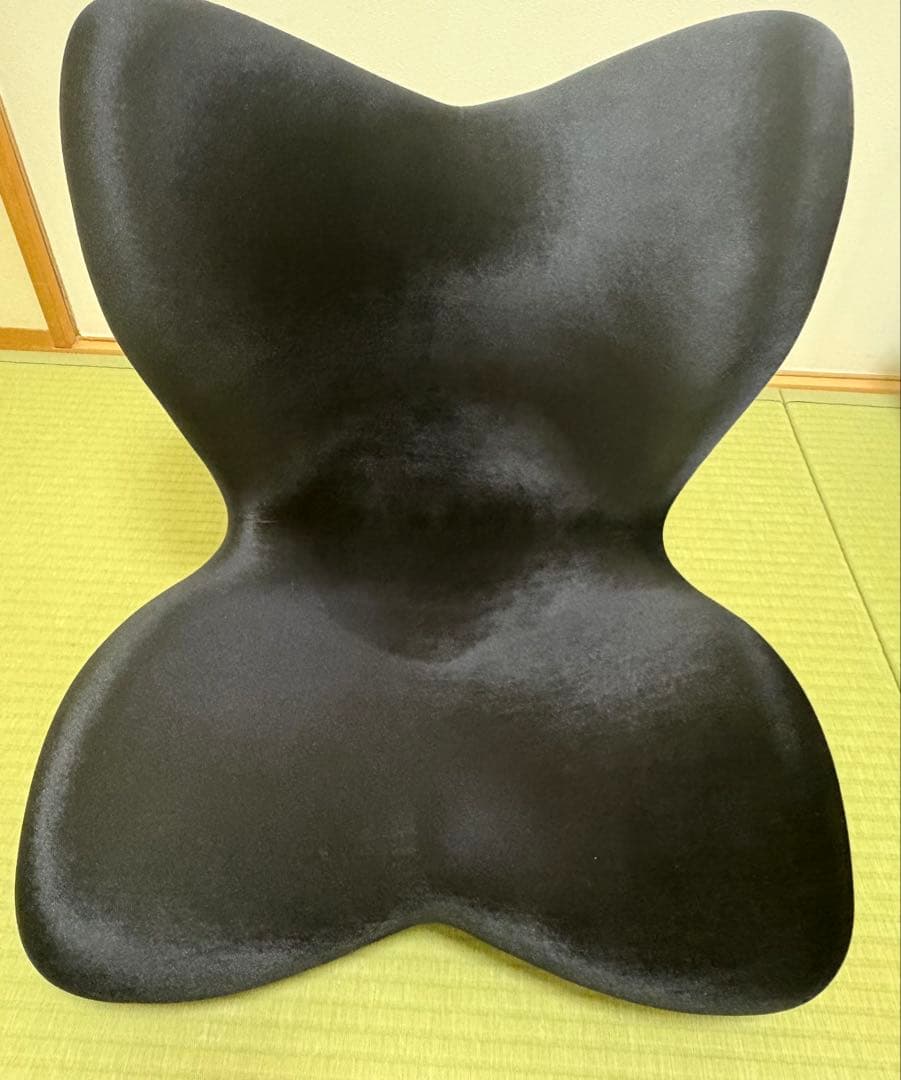 スタイルプレミアムデラックス ブラック Style PREMIUM