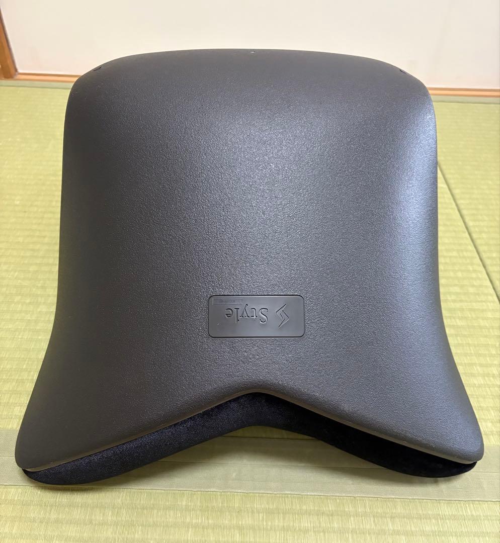 スタイルプレミアムデラックス ブラック Style PREMIUM