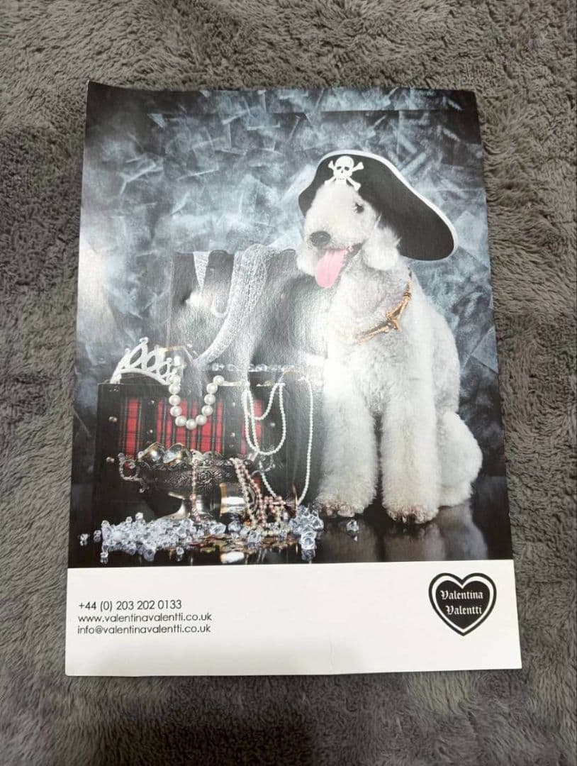 犬用キャリーバッグ グレー メッシュ