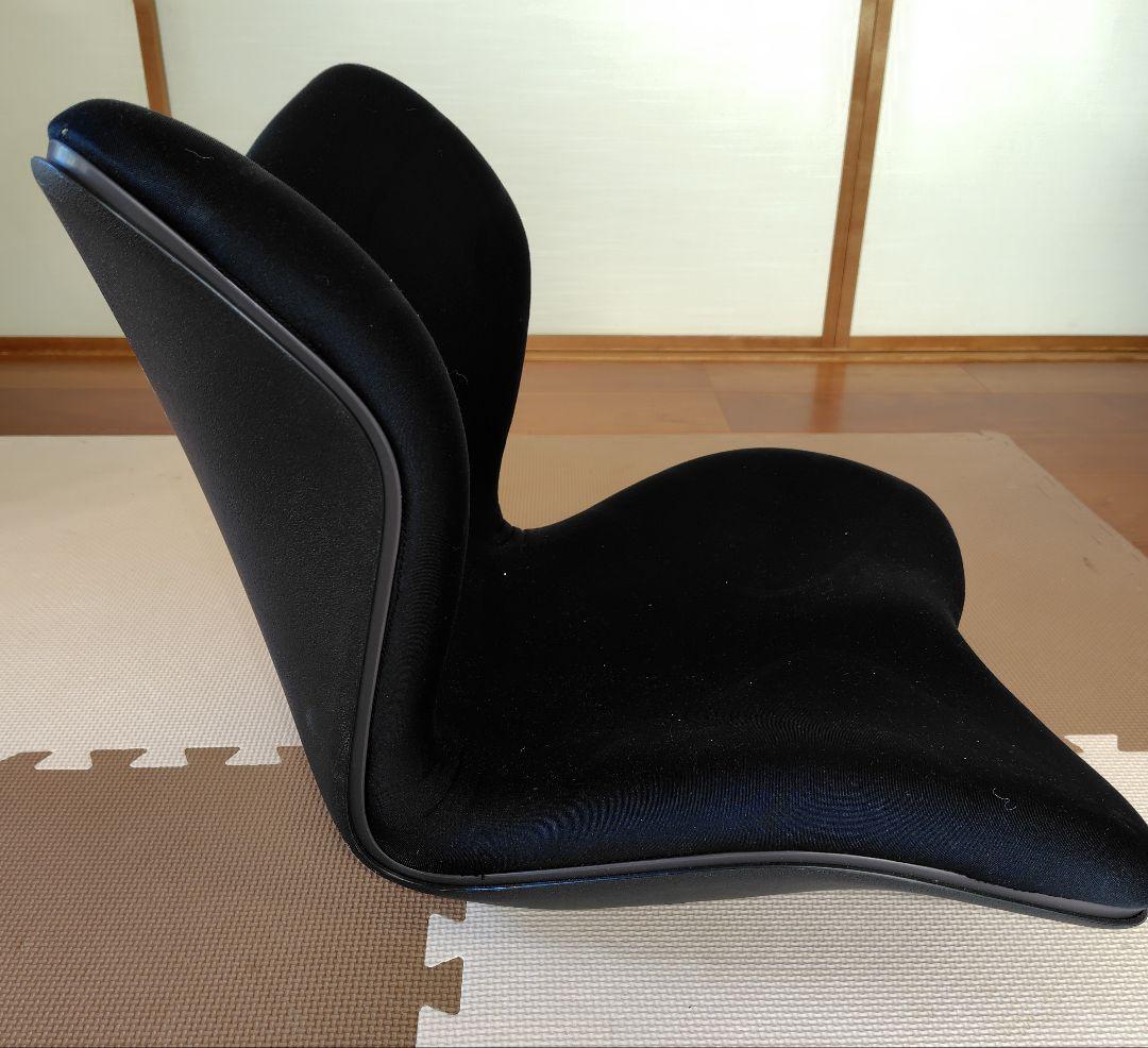 Style バタフライ型クッション ブラック