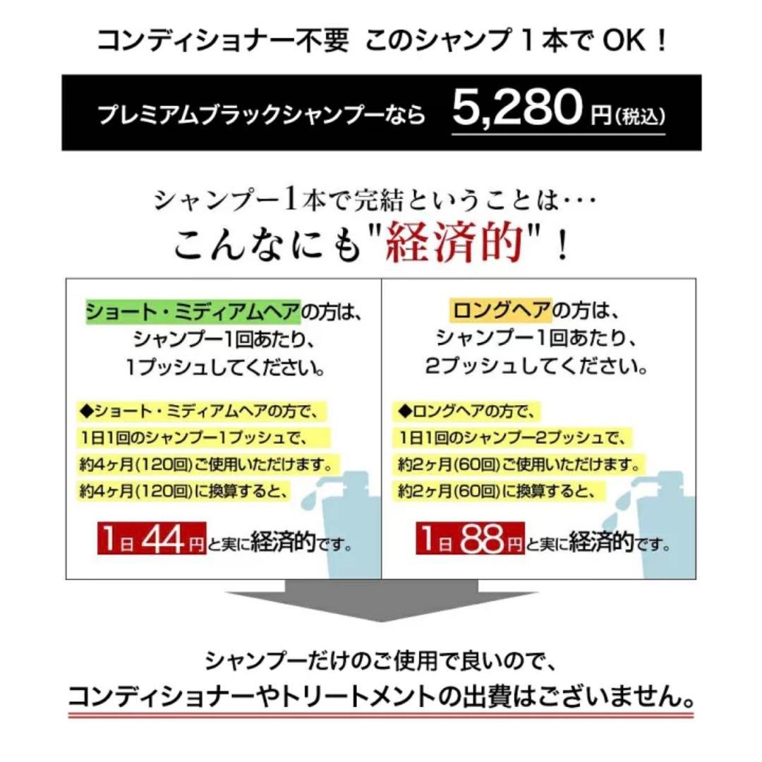 &GINO プレミアムブラックシャンプー 400ml