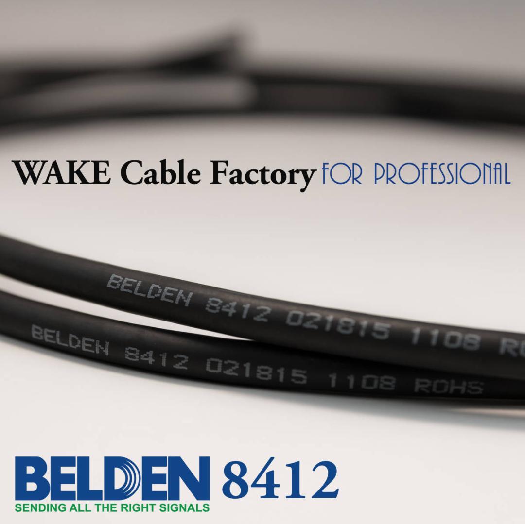 プレミアム黒！BELDEN8412★RCAケーブル50cmペア★AMPHENOL