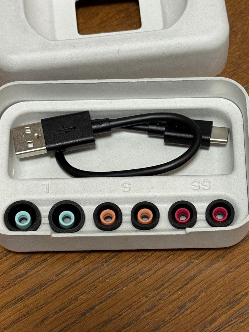 SONY WF1000MX5 AZLA イヤーピース　M ML付き