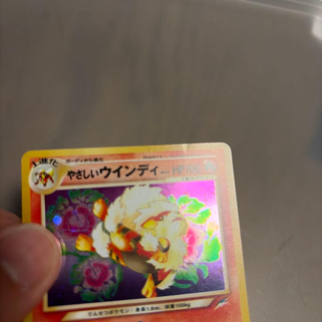 やさしいウインディ 旧裏