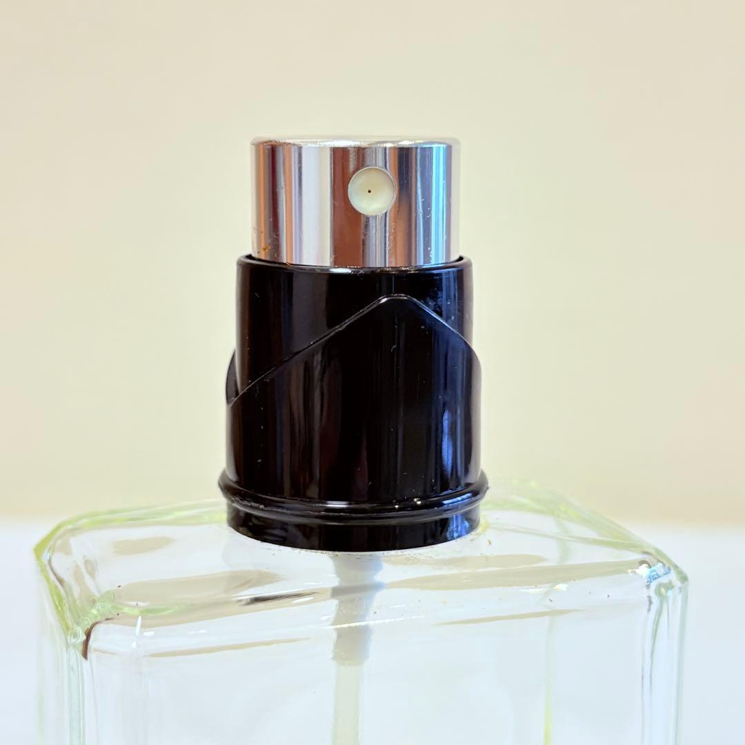 CHANEL シャネル エゴイスト プラチナム オードトワレ　香水　100ml