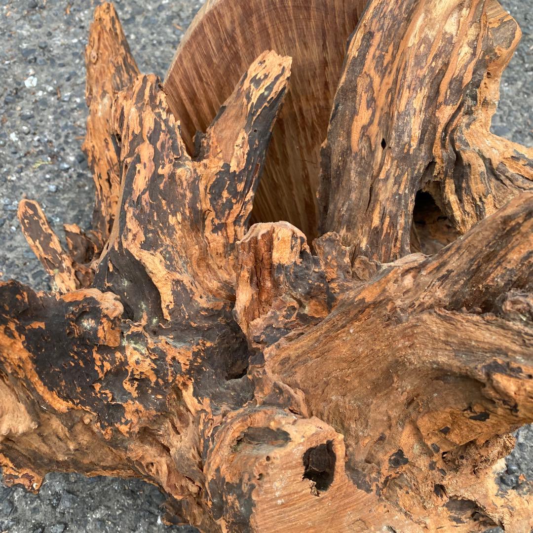 希少！時代物 天然木 根木 根卓 高卓 花台 香炉台 瘤 唐木 盆栽台 飾台