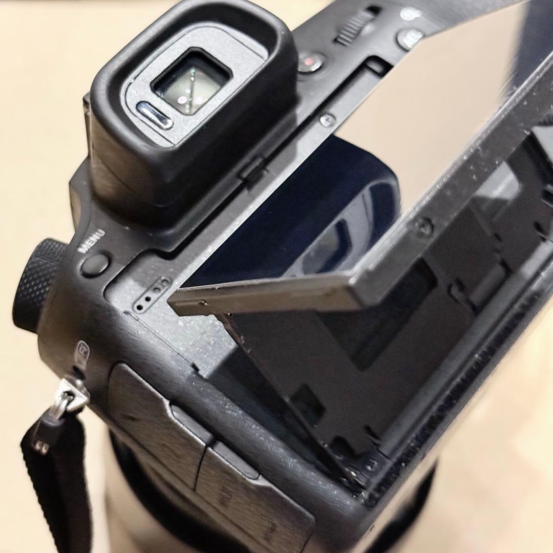 SONY ソニー 高倍率ズーム デジタルカメラ DSC-RX10M3 カメラ
