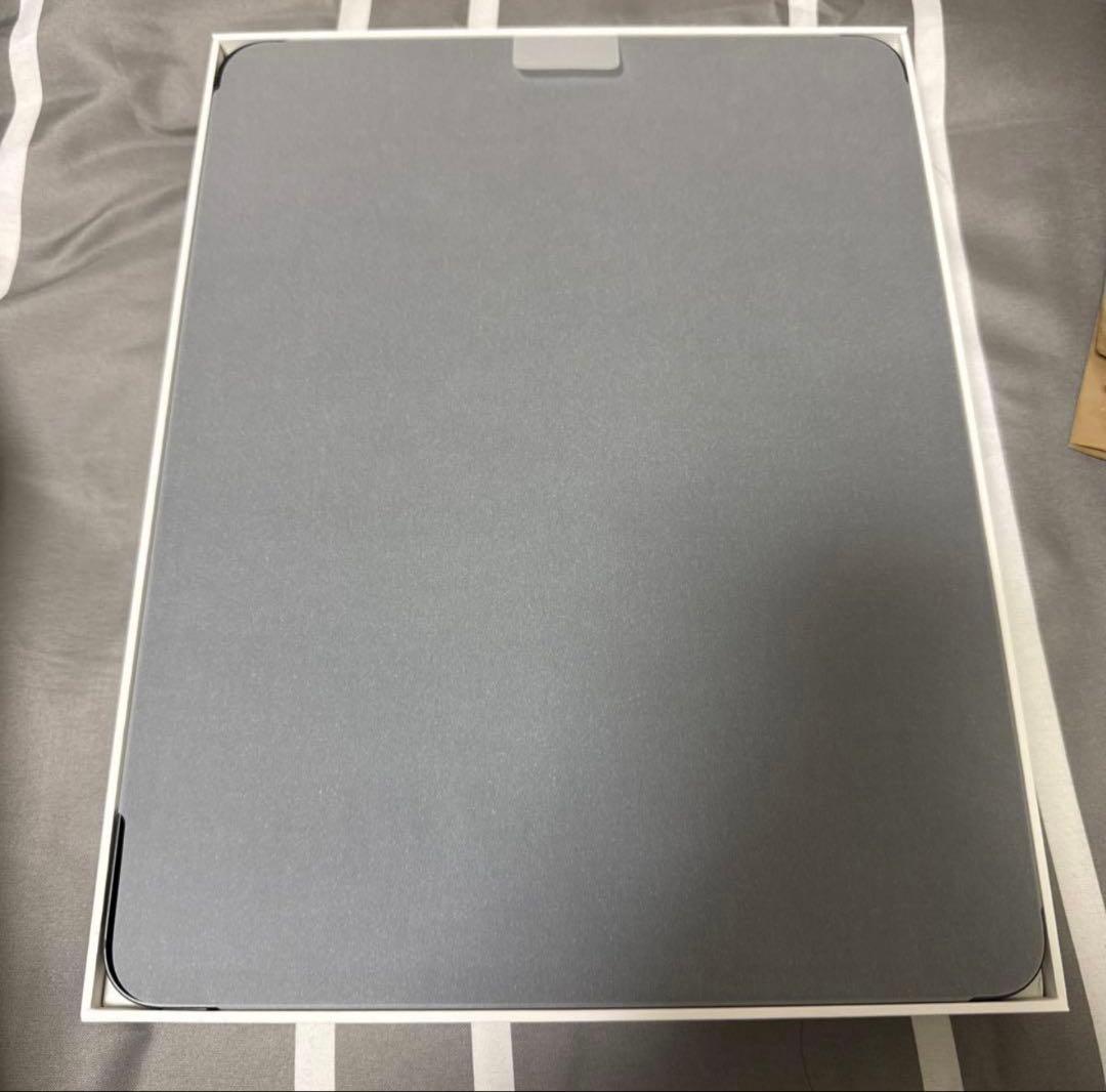 iPad Pro 13インチM4 256GB Cellularスペースブラック