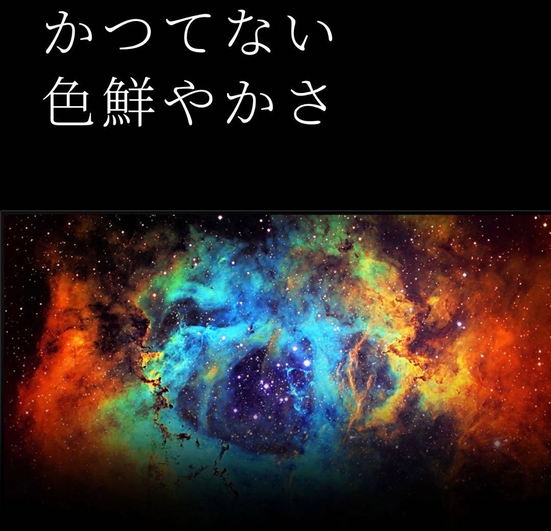 SONY BRAVIA XRJ-65A95L65インチQD-OLED有機Eテレビ