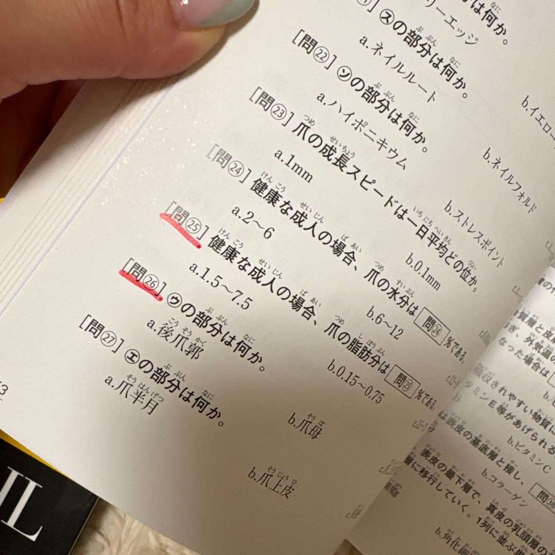 ネイル検定、練習用ハンド　セット