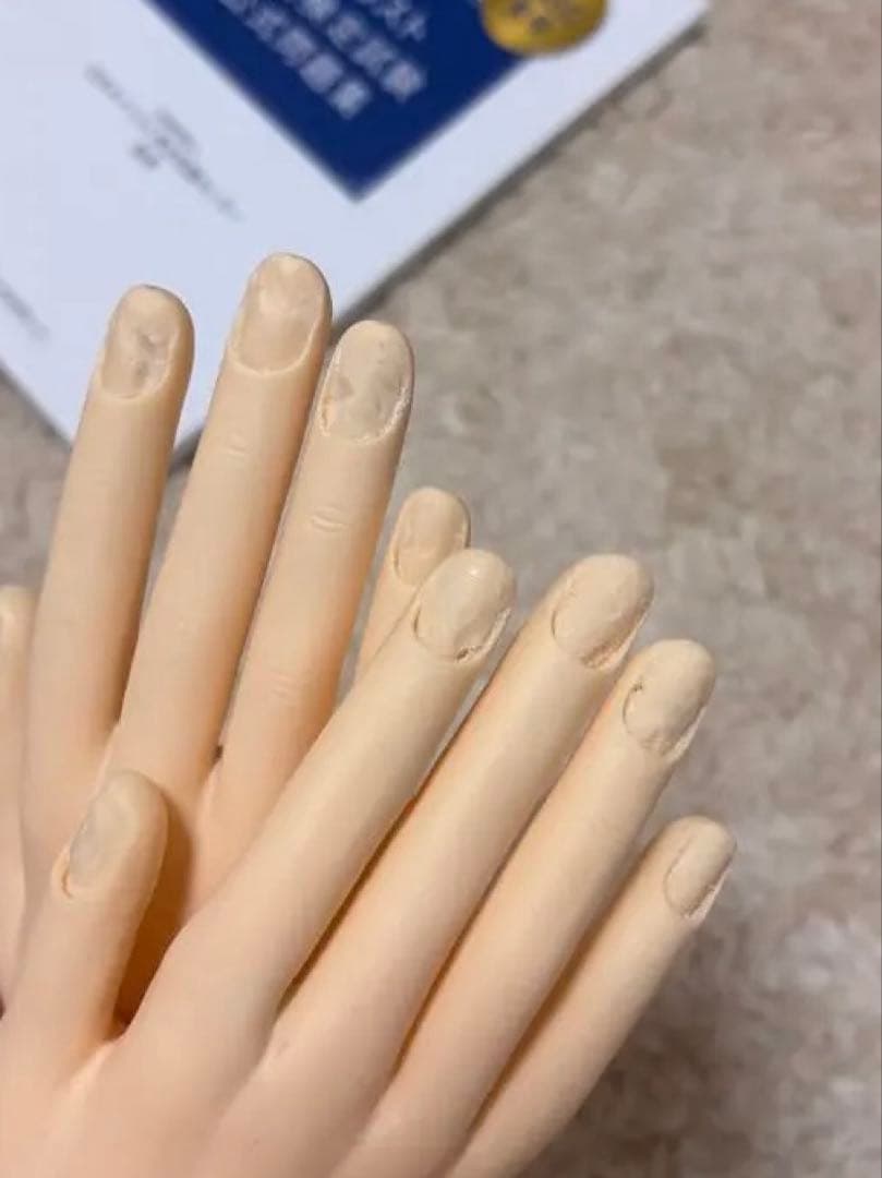 ネイル検定、練習用ハンド　セット