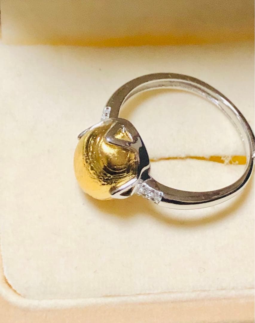 【特価】大粒 メテオライト隕石✴︎໒꒱宇宙໒꒱✴︎フリーサイズリング✴︎★彡1点品