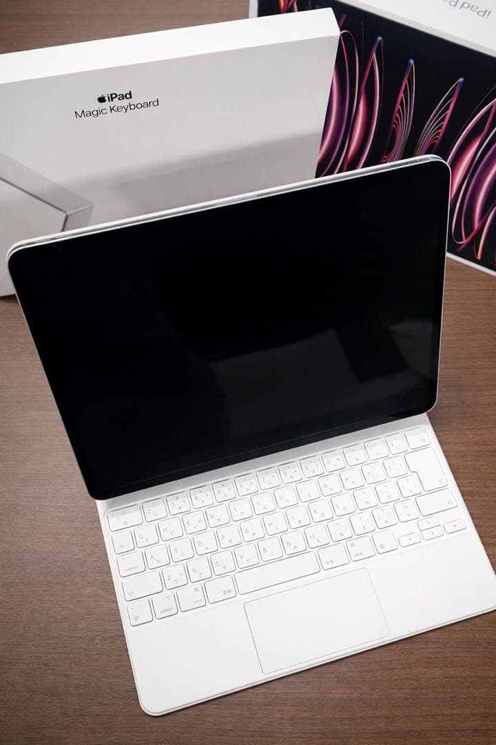 iPad pro 12.9(第6世代) 512GB wifi-cellular