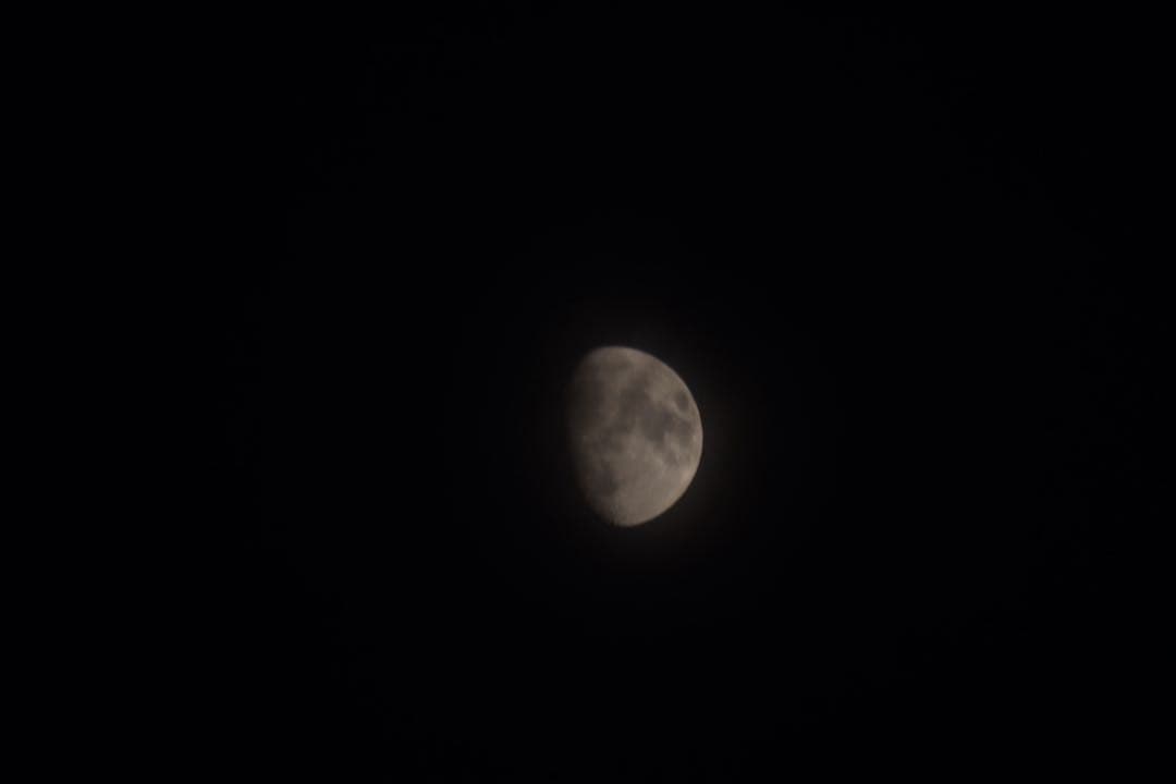 EF100-400mm F4.5-5.6L IS USM 望遠レンズ
