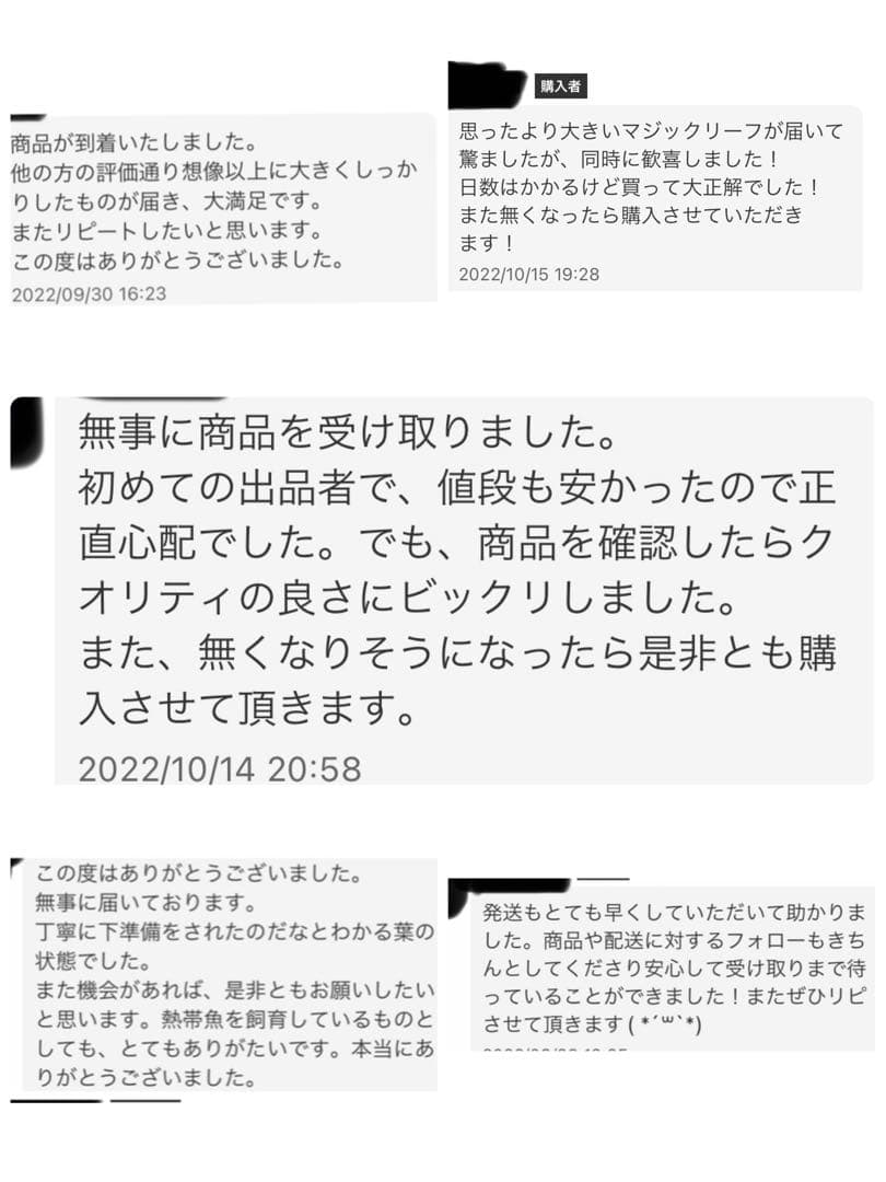 沖縄県やんばる産マジックリーフ 1kg UV殺菌灯照射済み①