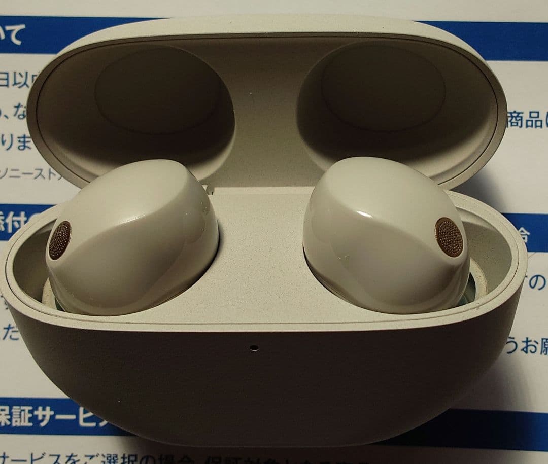 SONY WF-1000XM5 ワイヤレスイヤホン 専用ケース付き