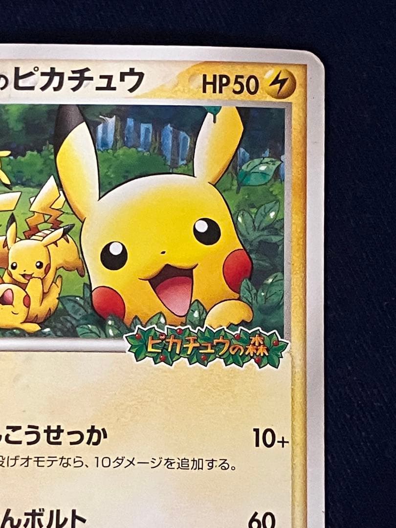 2005年ポケパークのピカチュウ　プロモ