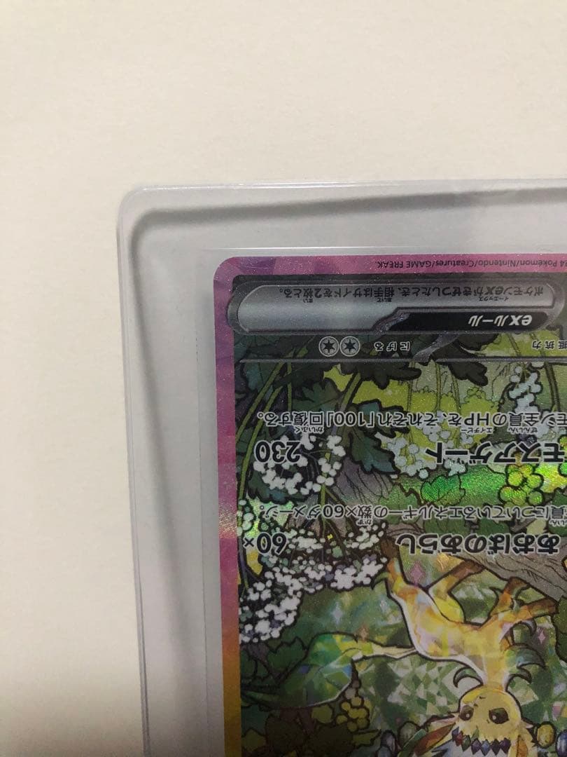 リーフィアex SAR テラスタルフェス