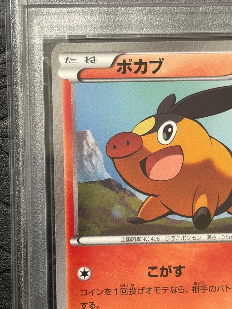 PSA9 ポケモンカード ポカブ BW-P 019 ユニクロ プロモ TEPIG