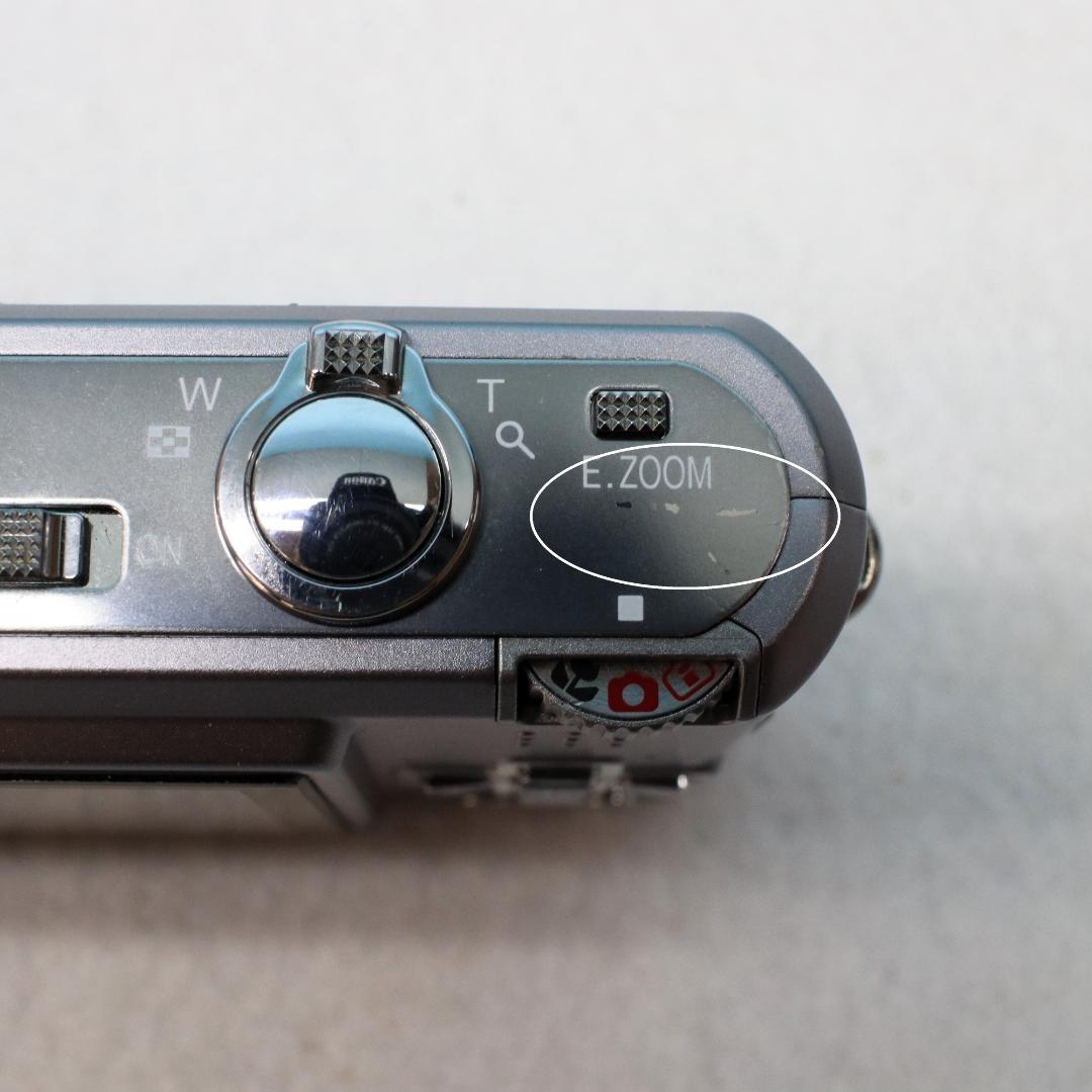 Panasonic DMC-FX100 （シルバー）コンパクトデジタルカメラ