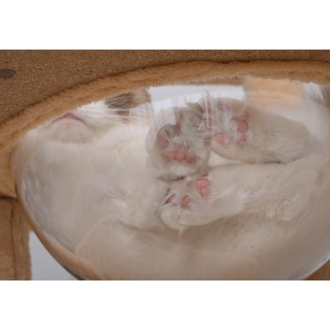 据え置き型 麻紐 爪とぎ 多頭飼い 宇宙船キャットタワー 据え置き型【グレー】