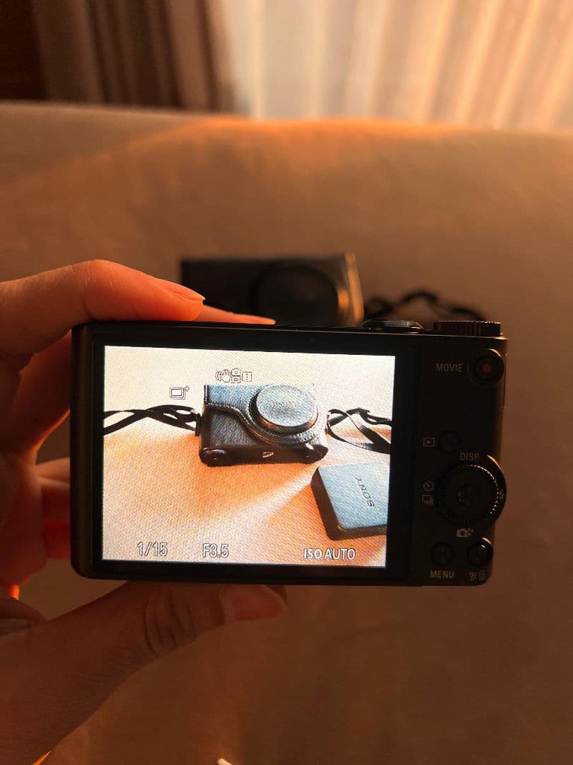 SONY Cyber-shot DSC-WX350 + ケース