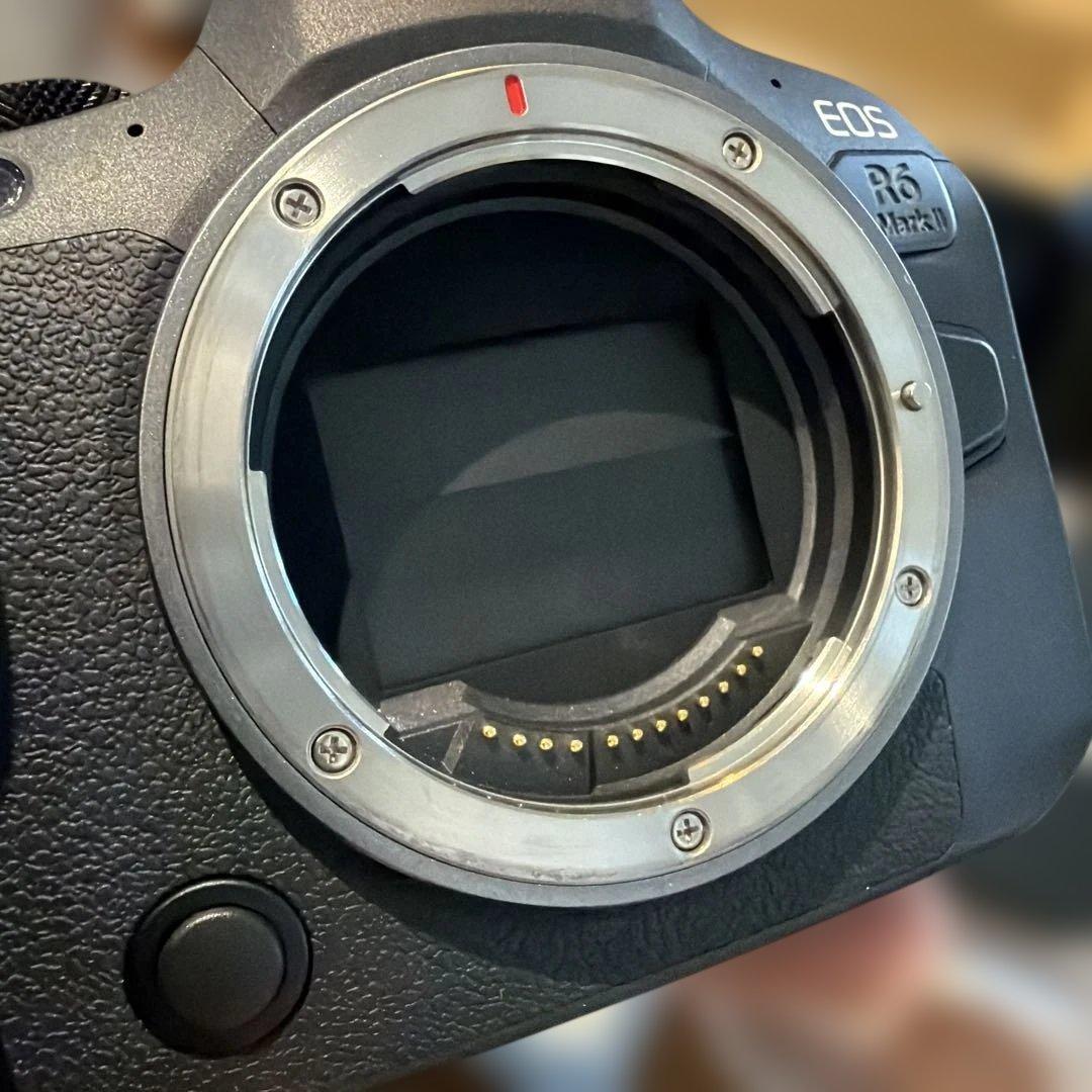 【美品】Canon EOS R6 Mark II 本体/ 充電器　sdカード